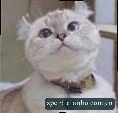 王浩